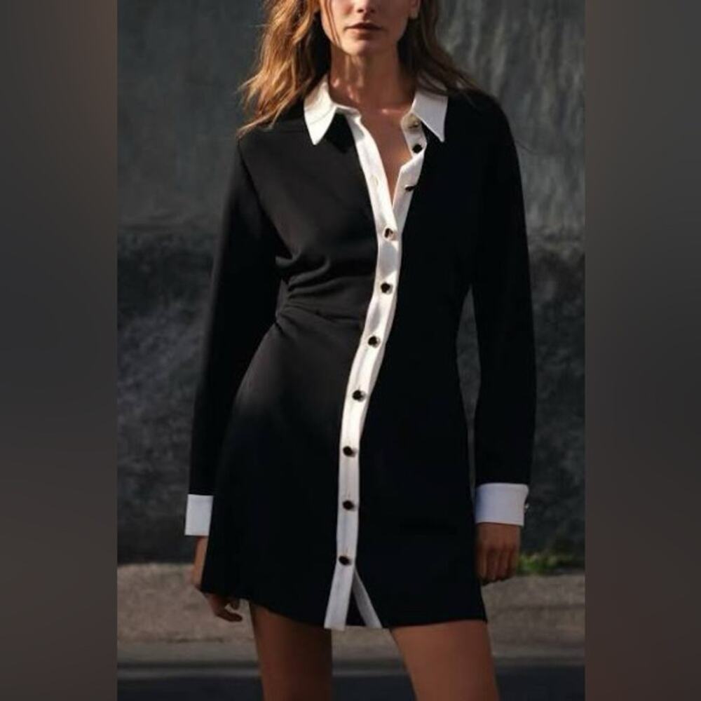 Zara Crepe Mini Dress NWT